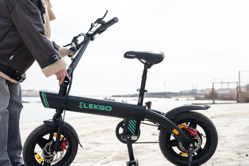 ELEKGO EG01 - Folding Electric Bike